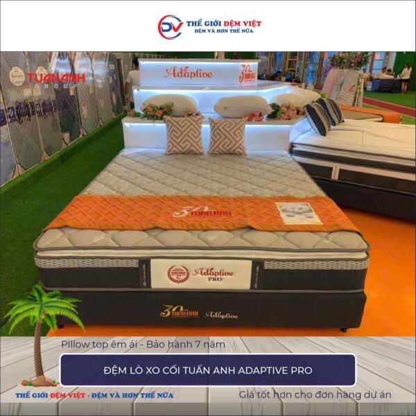 Đệm lò xo cối Tuấn Anh Adaptive Pro 2